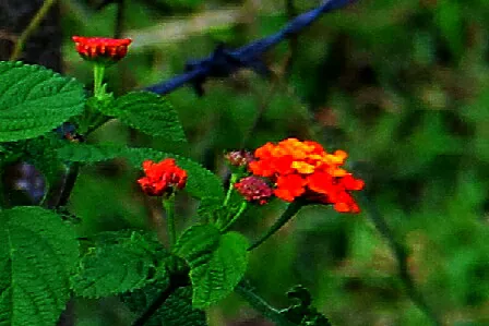2019_12_05_10_30_00.png