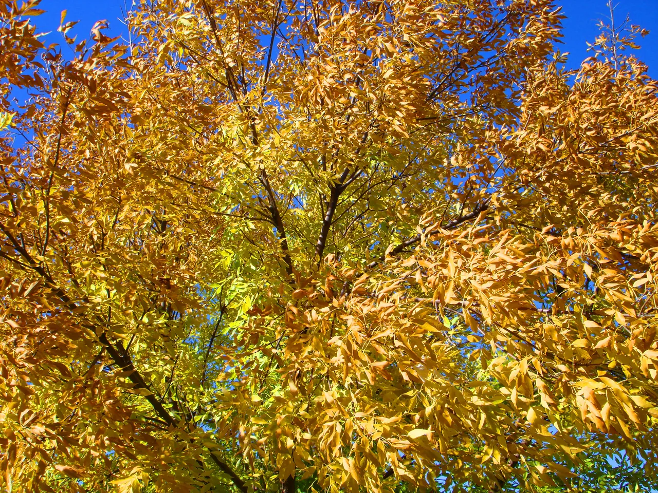DSC00127-2222222222.jpg