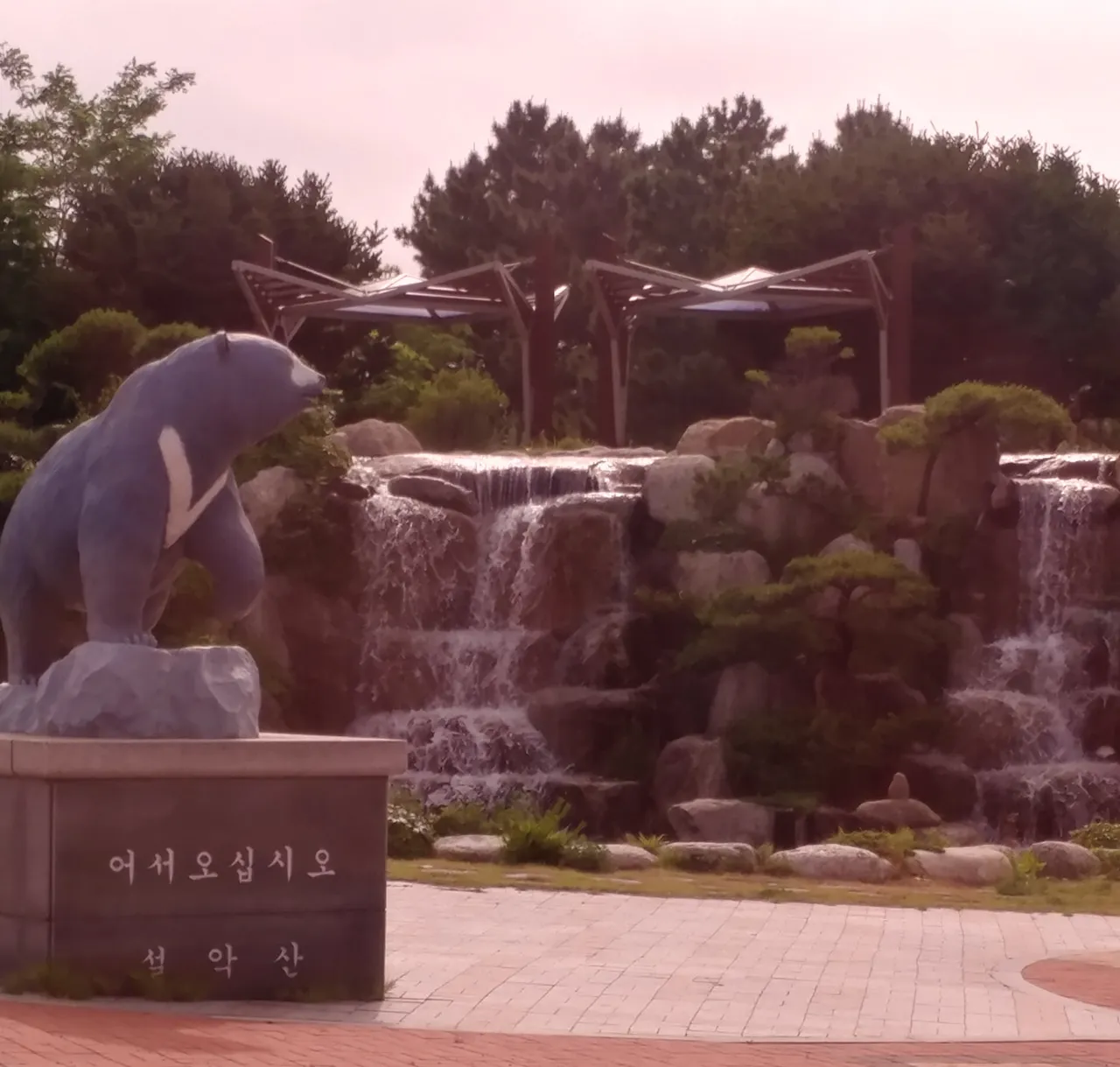 PSX_20190610_110401.jpg