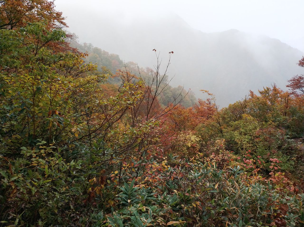 IMG_20181007_093459.jpg