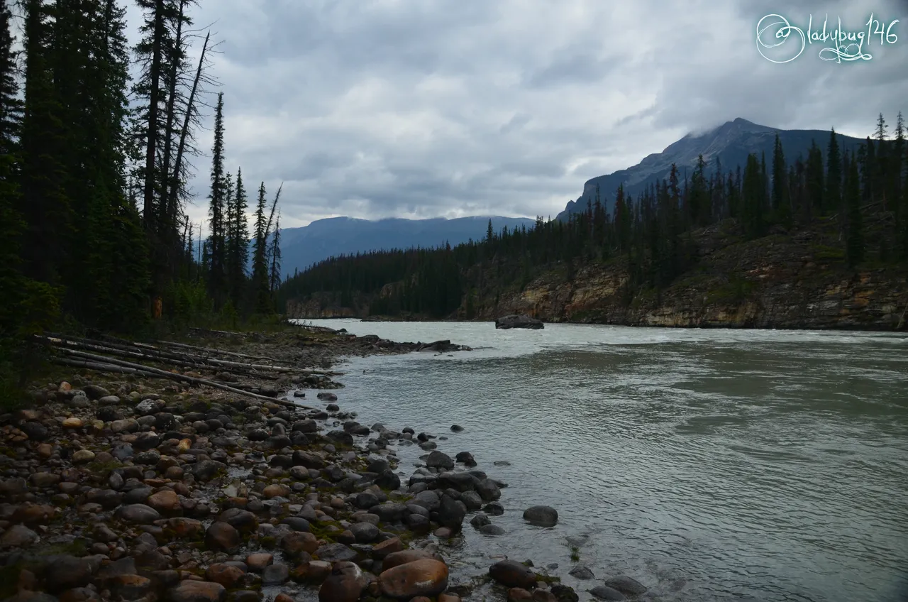 athabasca falls11.jpg