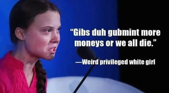 greta-thunberg-meme.jpg