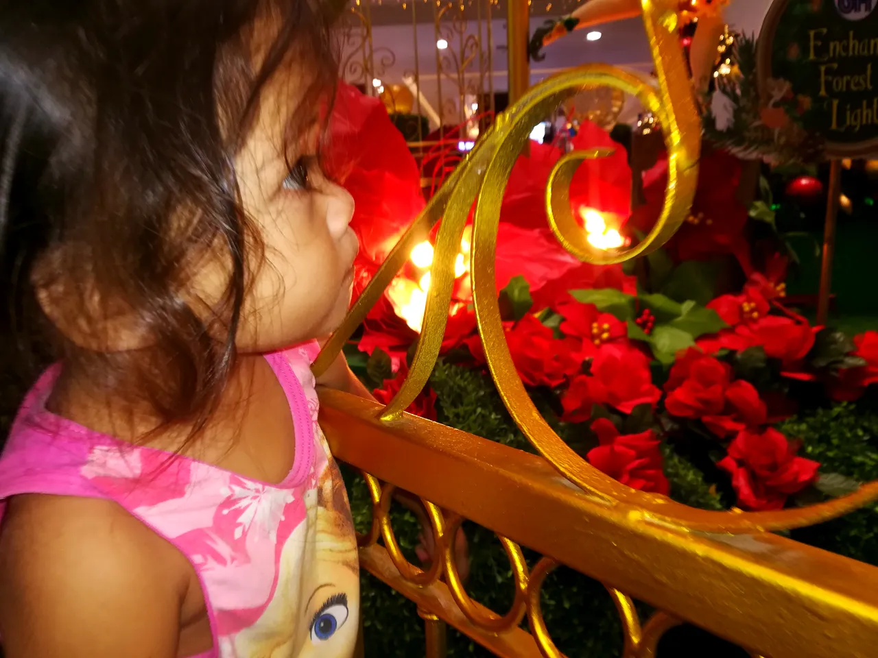 IMG_20191121_201151.jpg