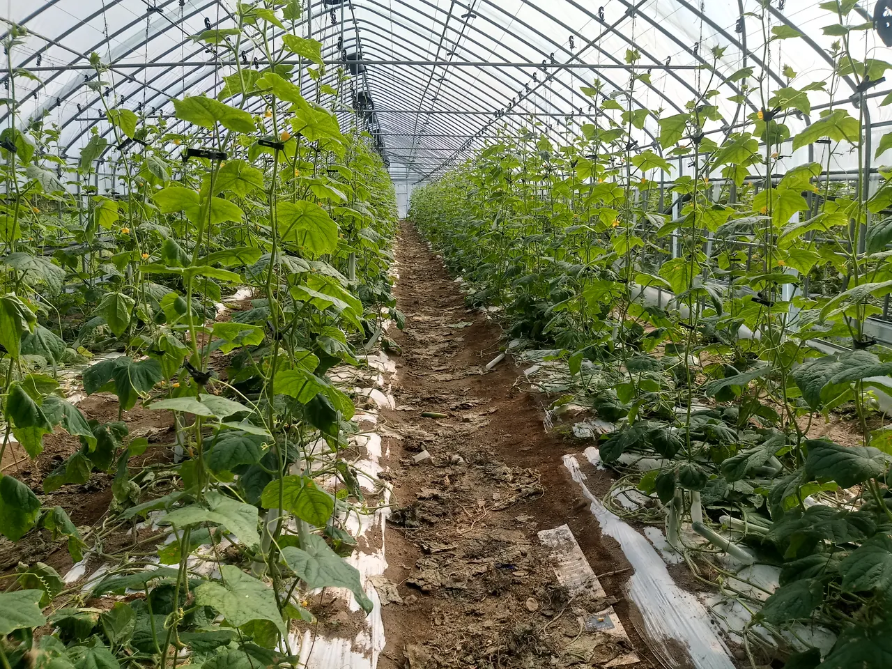 20180924_105558_HDR.jpg