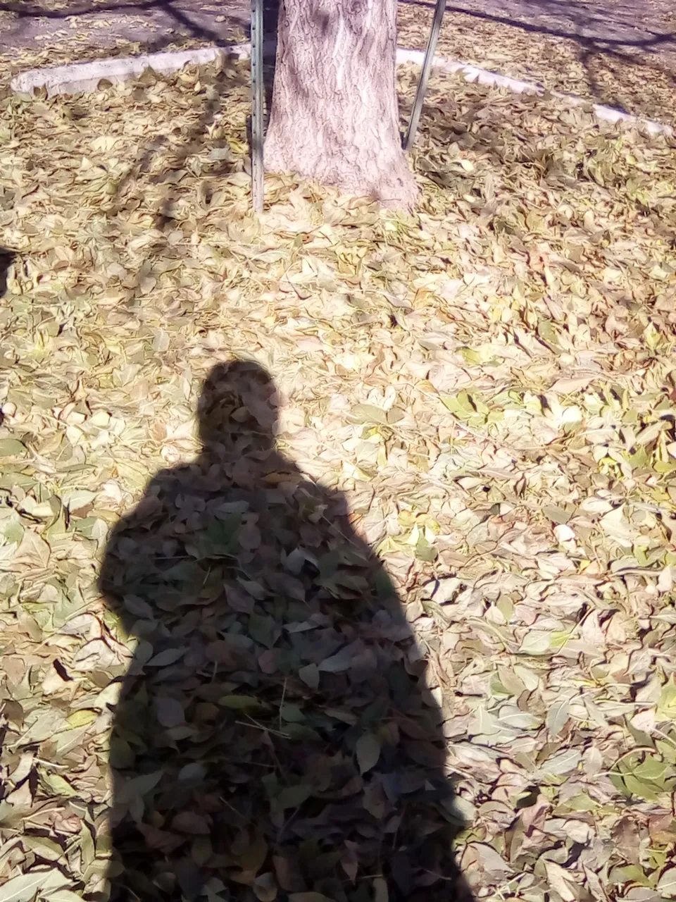 IMG_20181016_101554.jpg