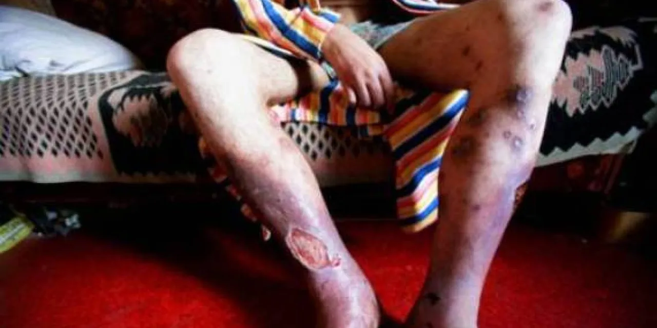 o-KROKODIL-facebook.jpg