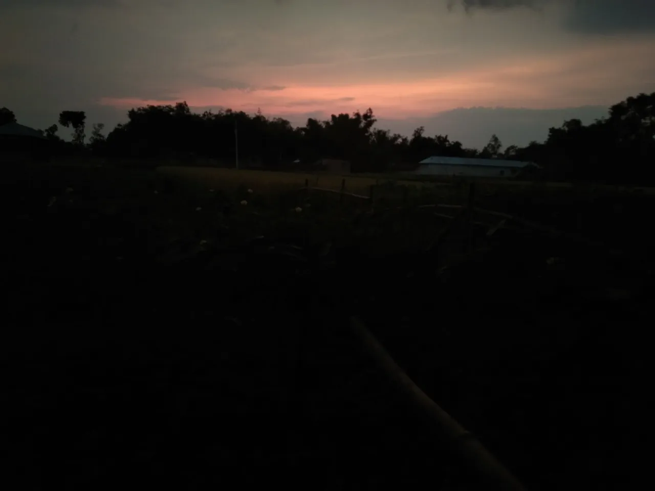 IMG_20210524_185947.jpg