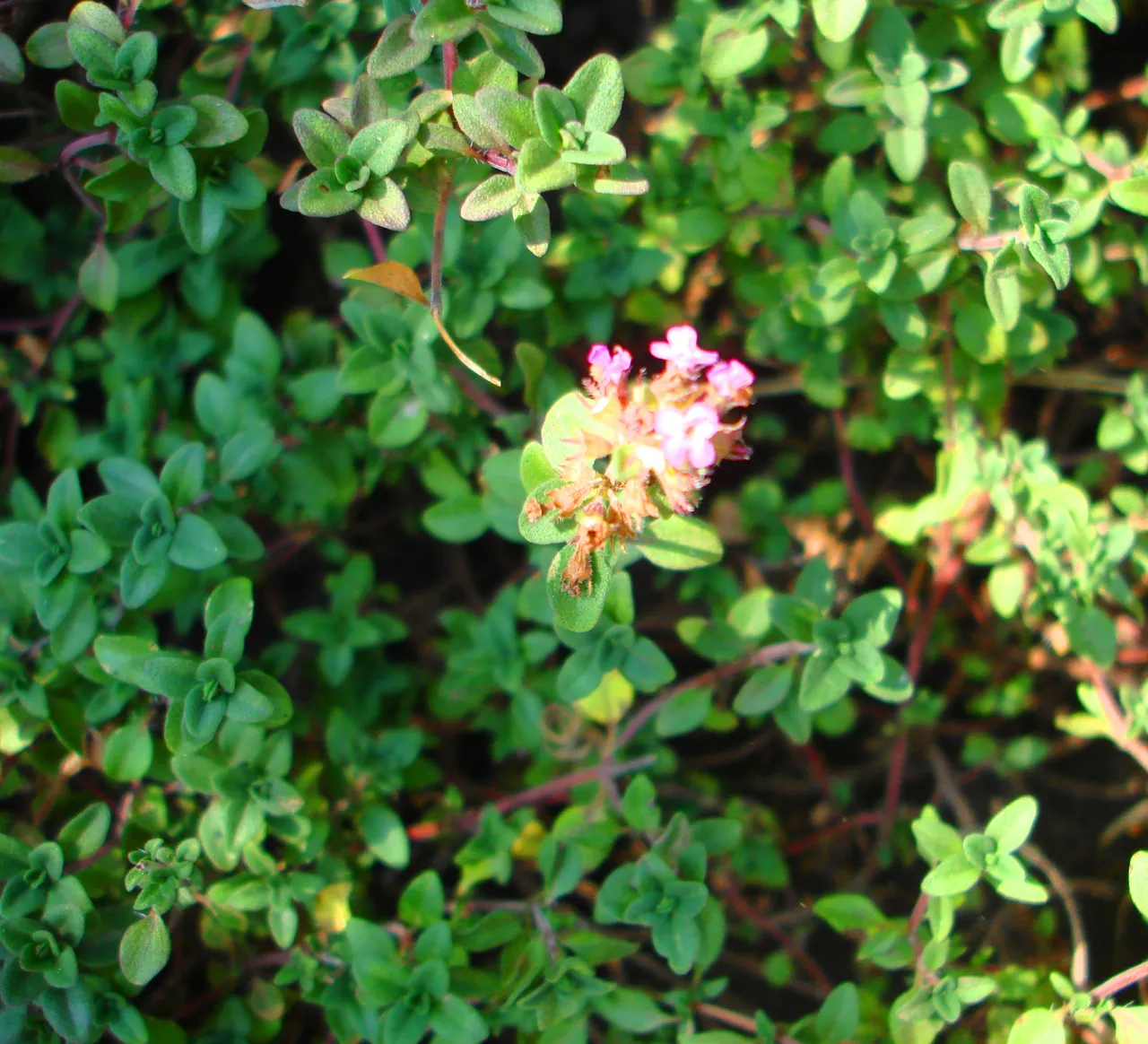 DSC01740-2222222222.jpg