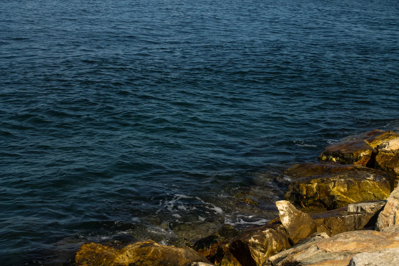 Playa La Rosa-5.jpg