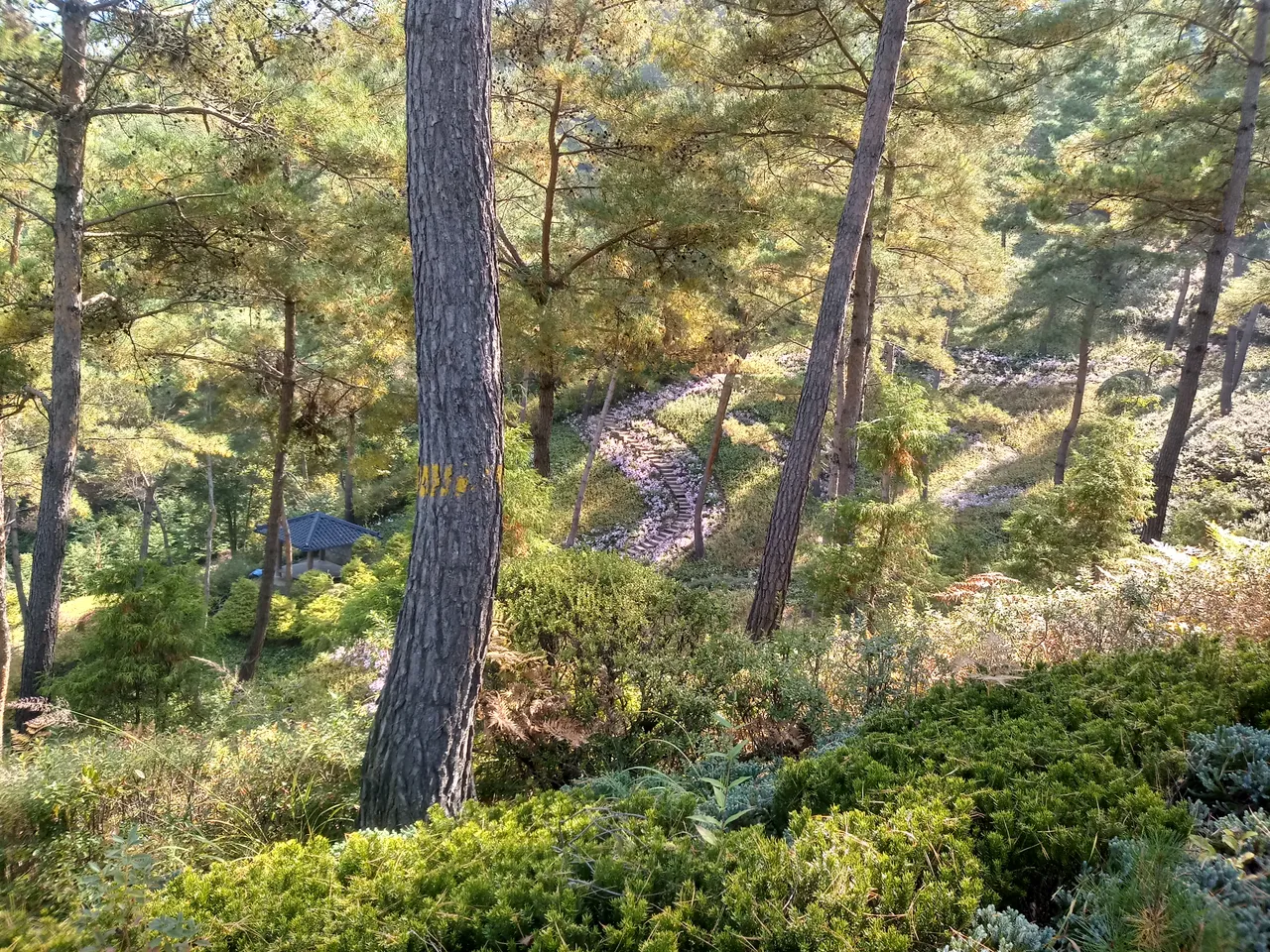 20181014_113339_HDR.jpg