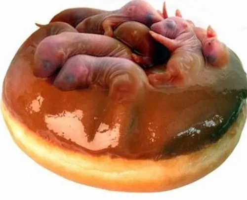 makanan-menjijikkan.jpg