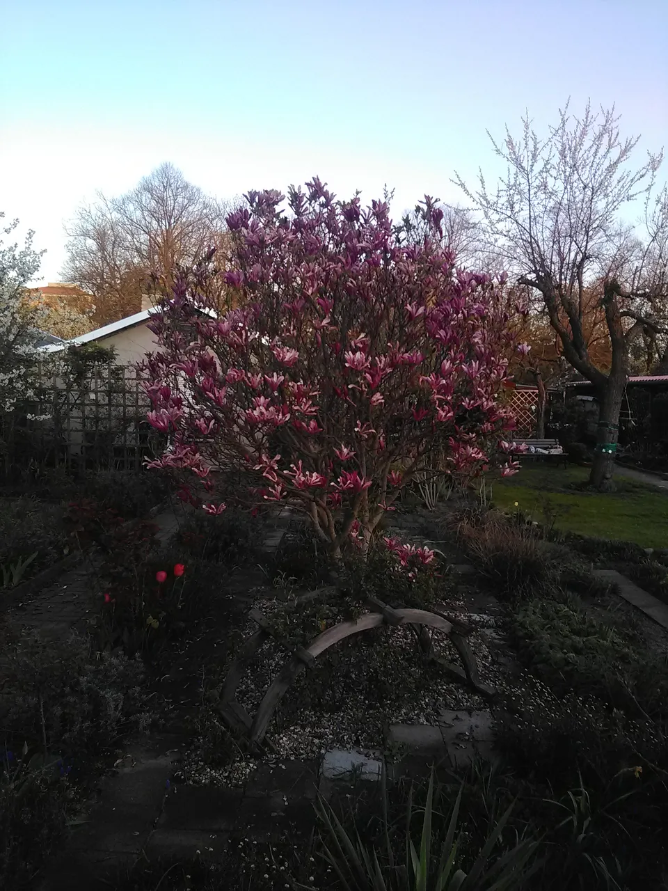 IMG_20190417_193225.jpg