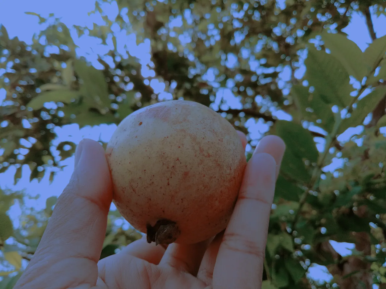 2019-09-30-16-31-24.jpg