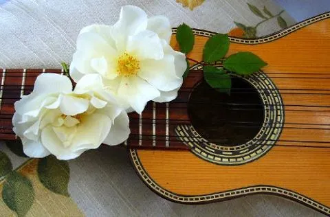 charango-romantico2.jpg