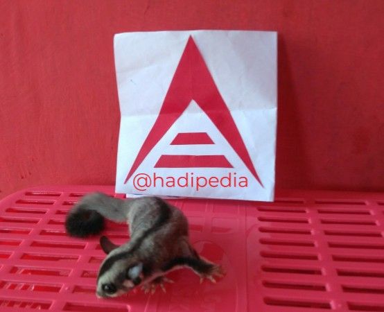 IMG_20181122_105746.jpg