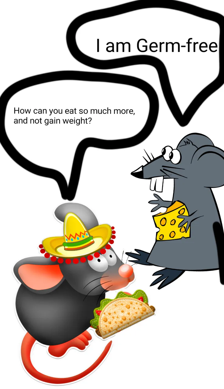 IMG_20190817_133434.png