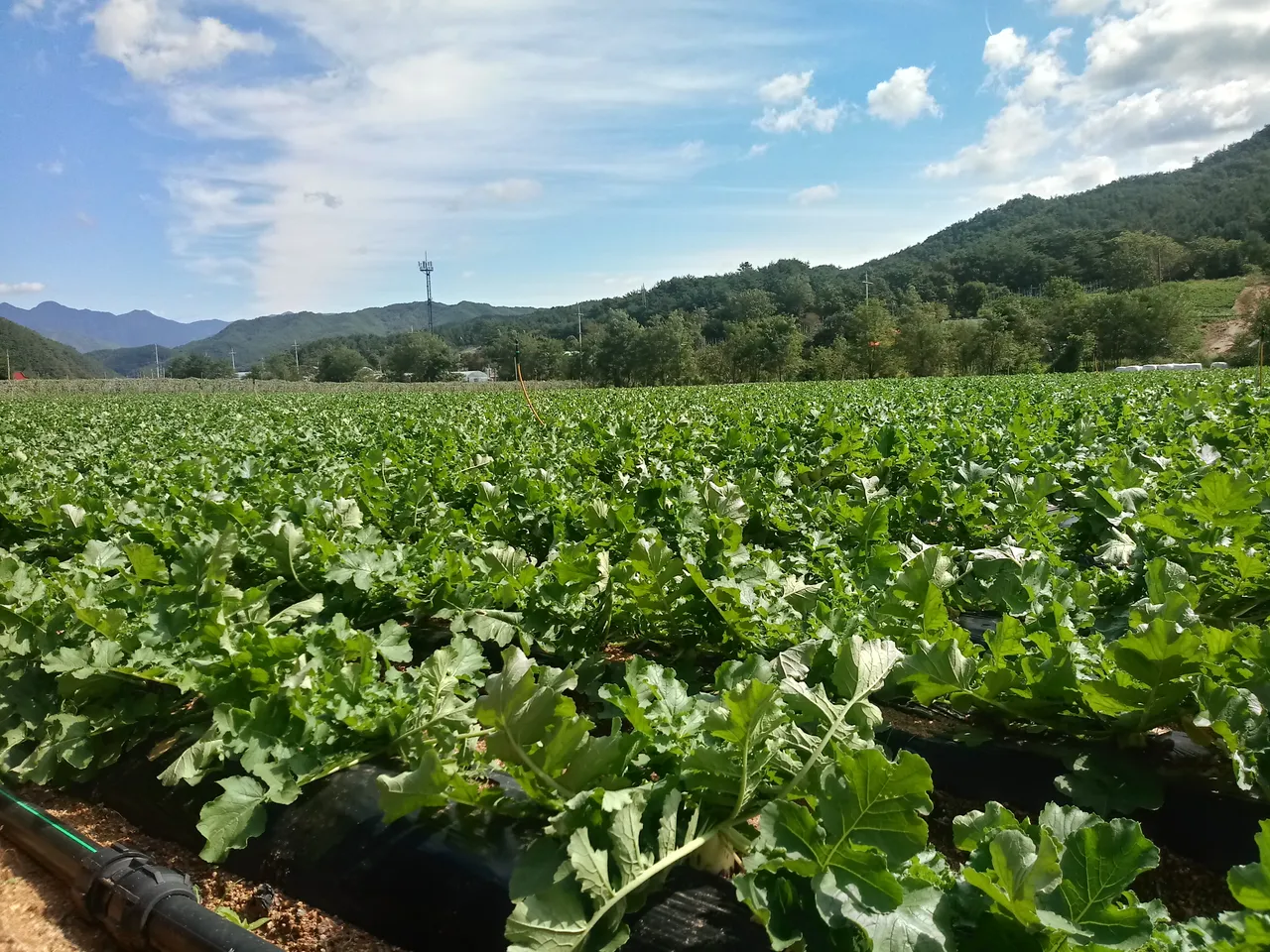 20180924_105214_HDR.jpg