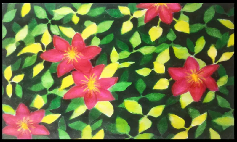 Clementis Flowers.jpg