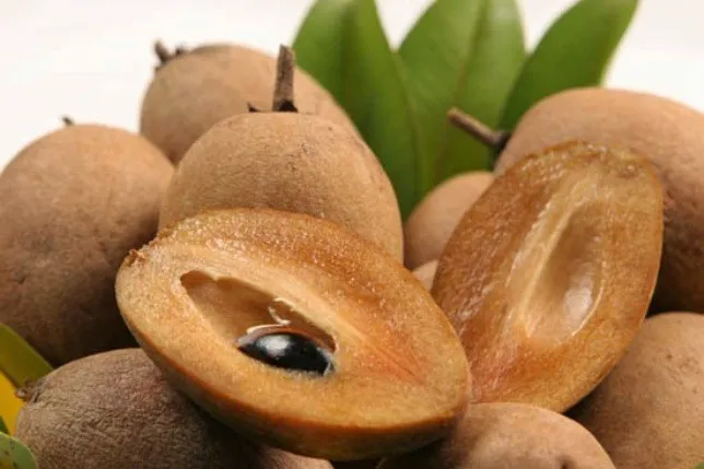 Frutas-níspero.jpg