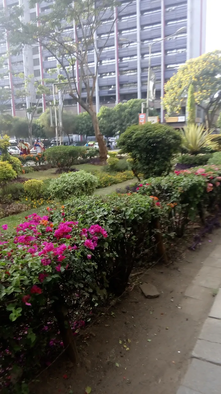 IMG_20190209_173948.jpg
