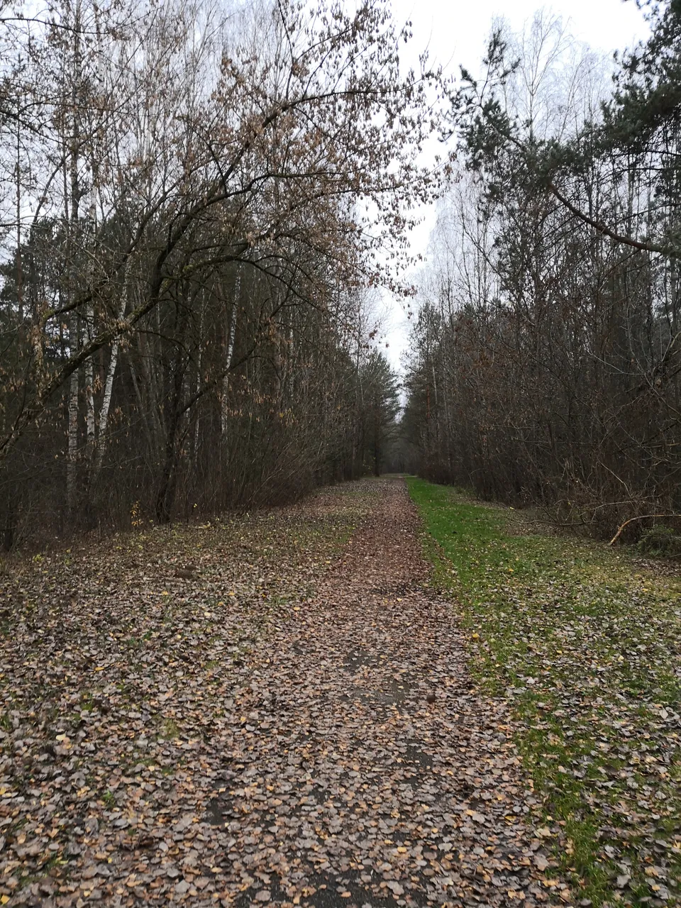 IMG_20181107_140752.jpg