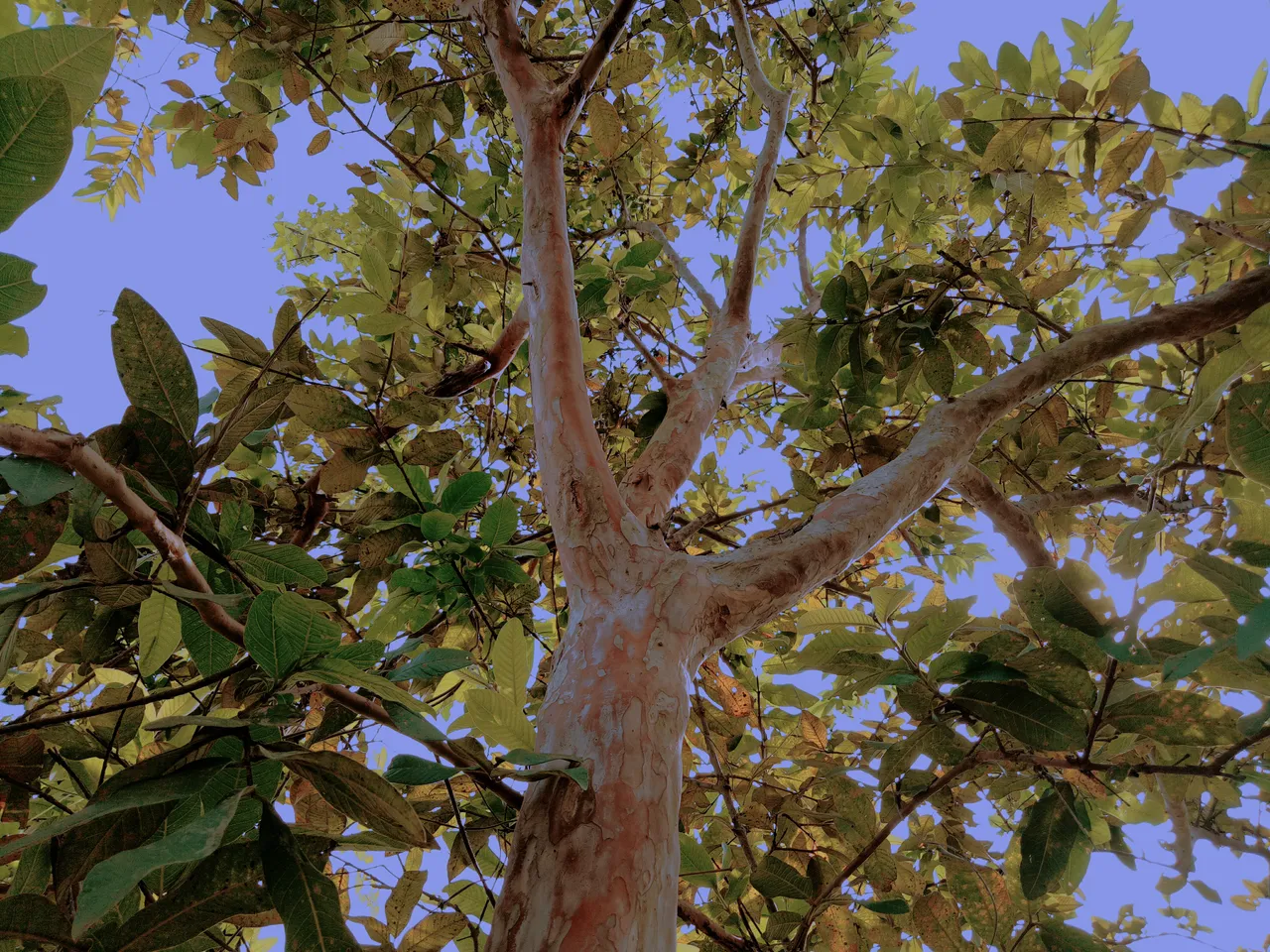 2019-09-30-16-26-09.jpg