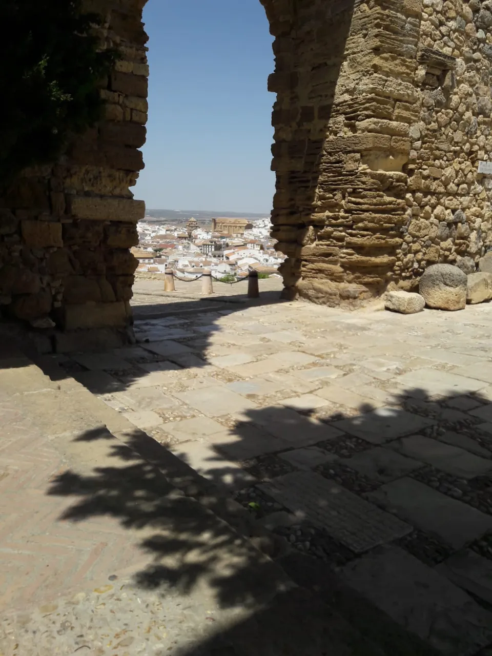 IMG-20180624-WA0021.jpg