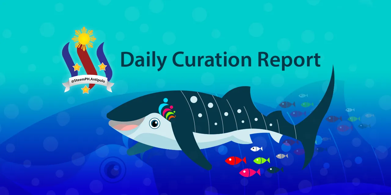 dailycurationreport.png