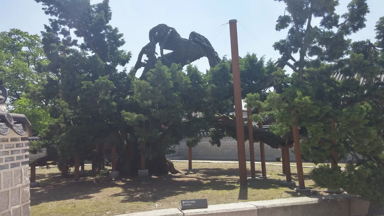 20160507_112323_HDR.jpg