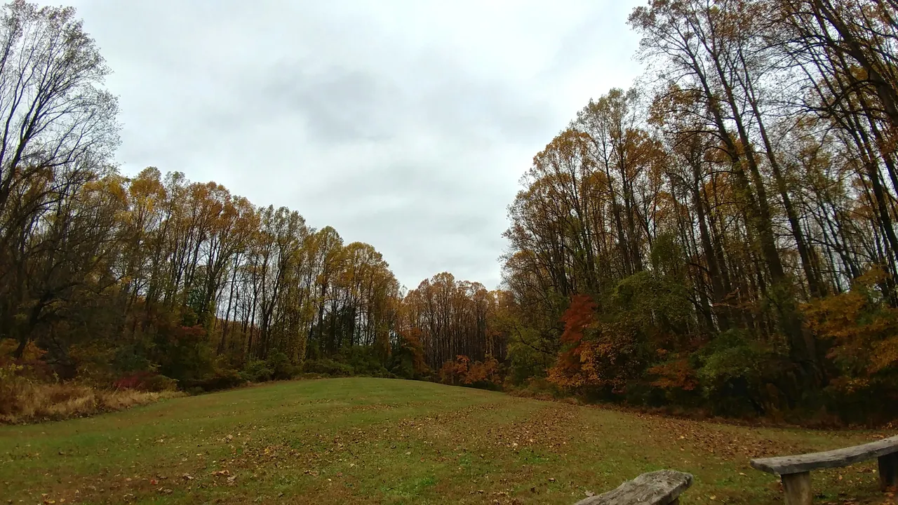 sunday11-3-2019-9ok.jpg