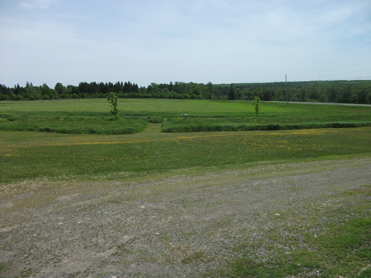 Garden 2018 016.JPG