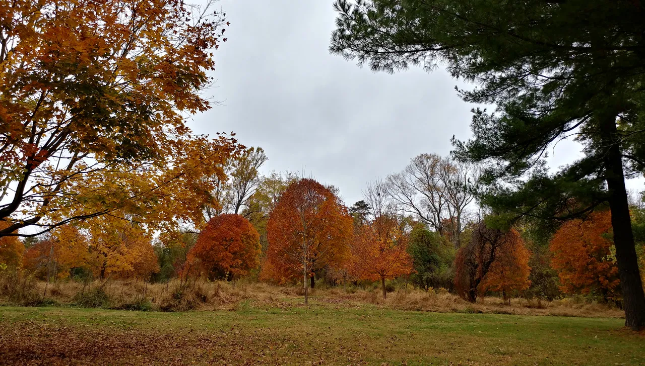 sunday11-3-2019-4ok.jpg
