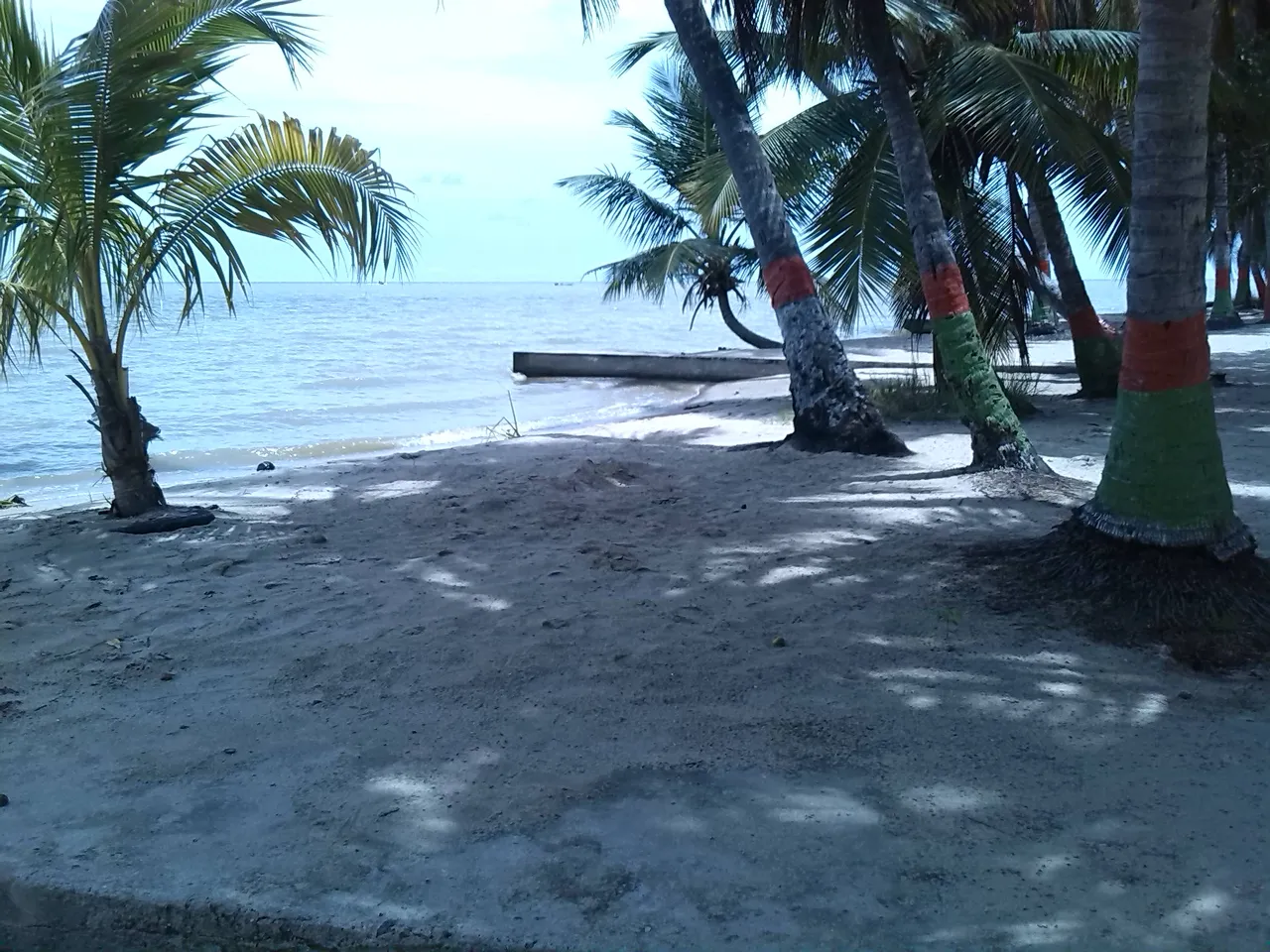 IMG_20160527_121120.jpg