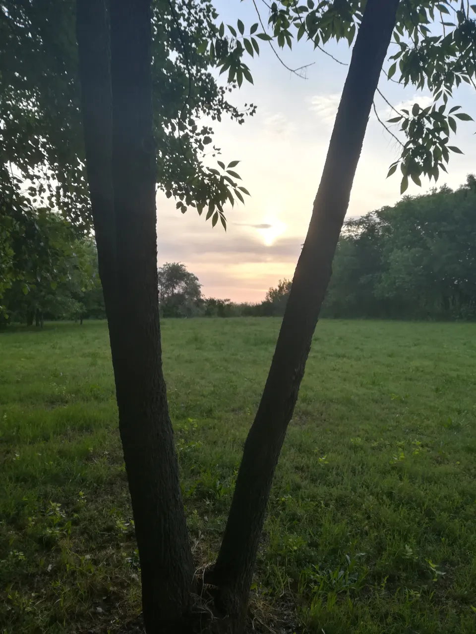 IMG_20180530_062550.jpg