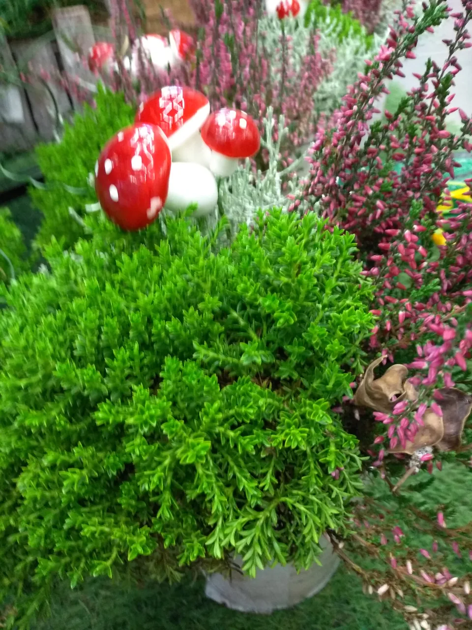 IMG_20181024_155959.jpg