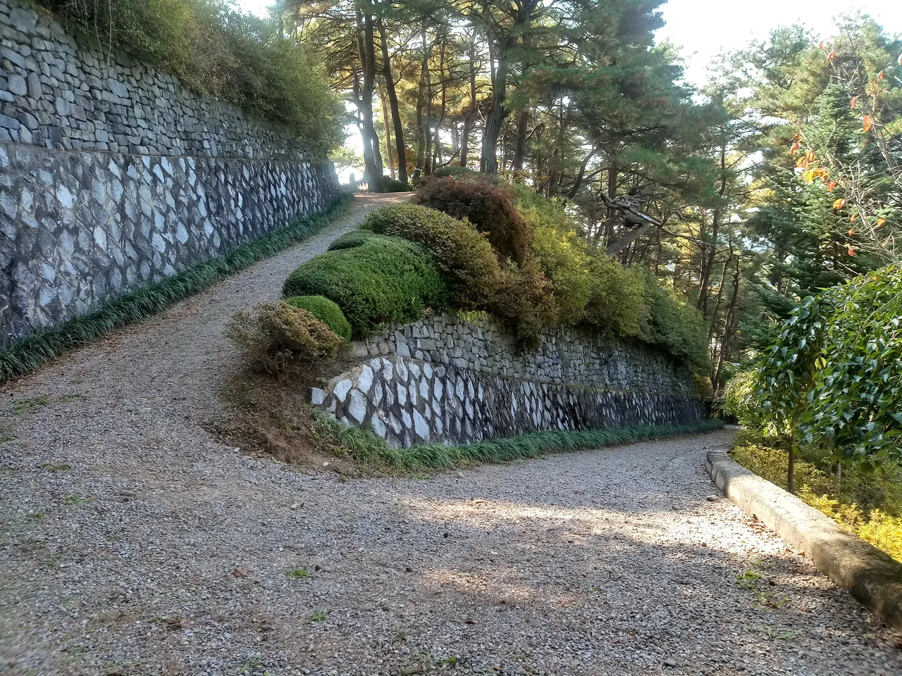 20181014_123338_HDR.jpg
