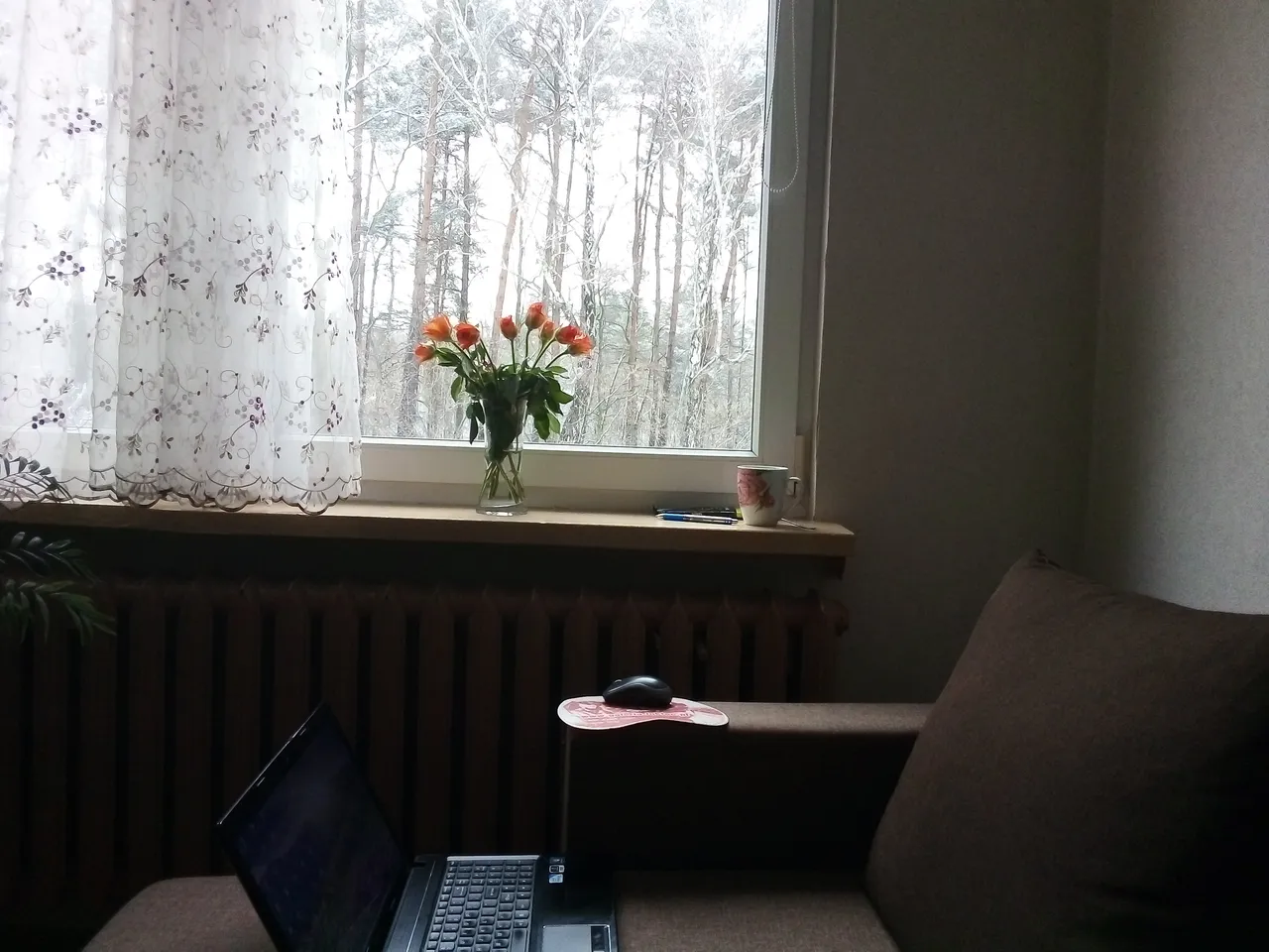 IMG_20190102_132146.jpg