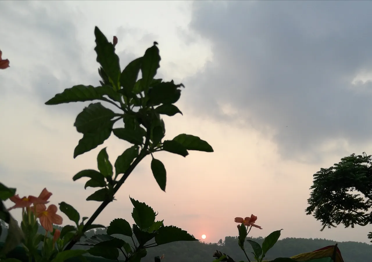 IMG_20180522_165412.jpg