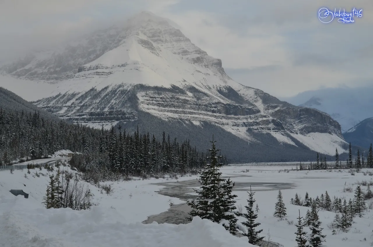 icefield parkway7.jpg
