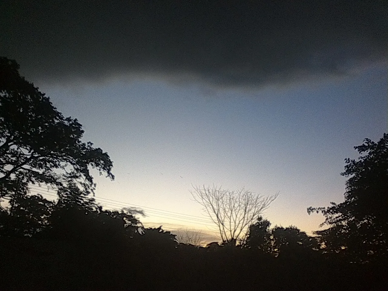 IMG_20190809_184726.jpg