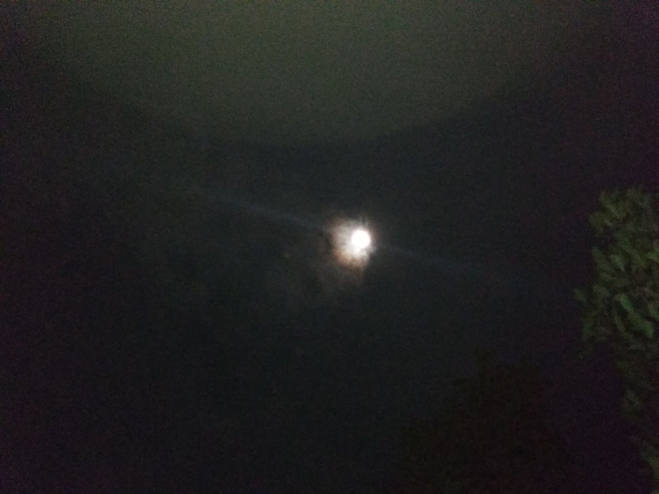 IMG_20181221_004103.jpg