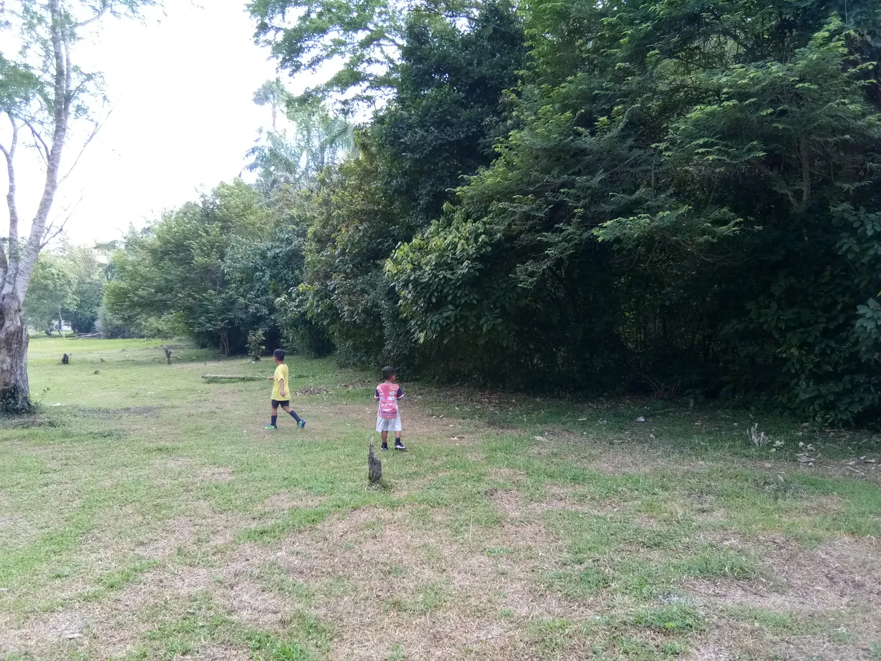 IMG_20180715_080945.jpg