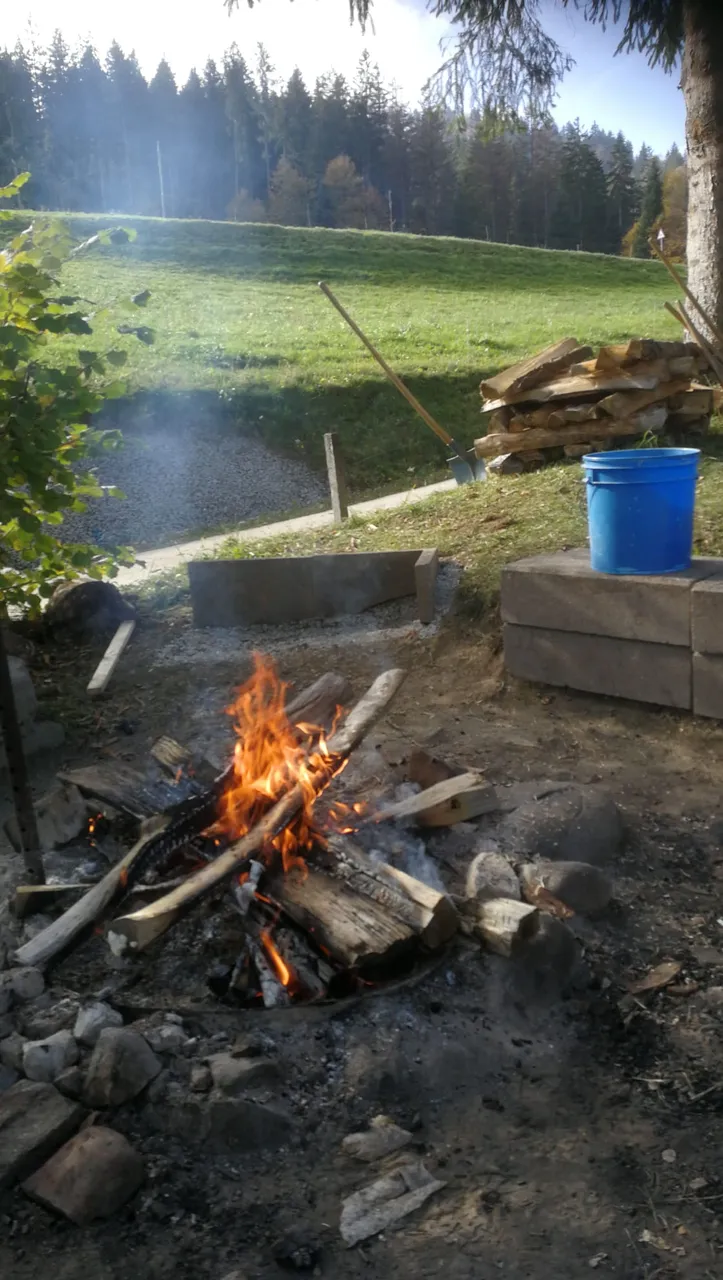 IMG-20191025-WA0009.jpg