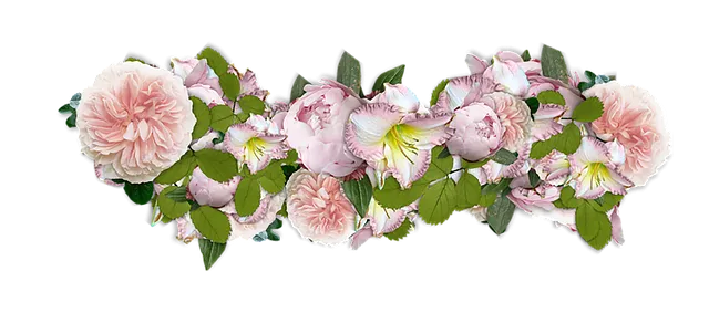 flowers-1803718_640.png
