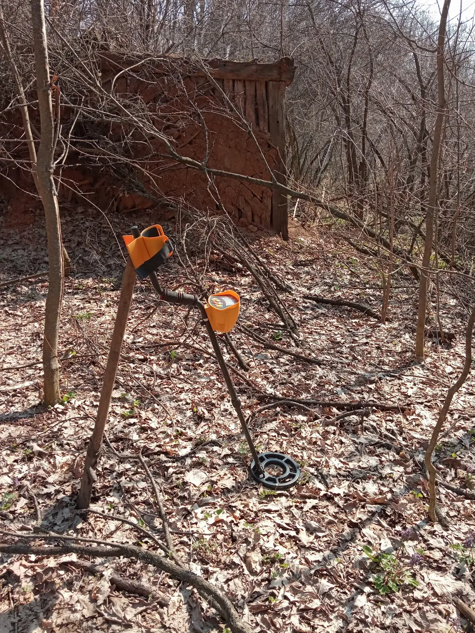 IMG_20190407_140618.jpg