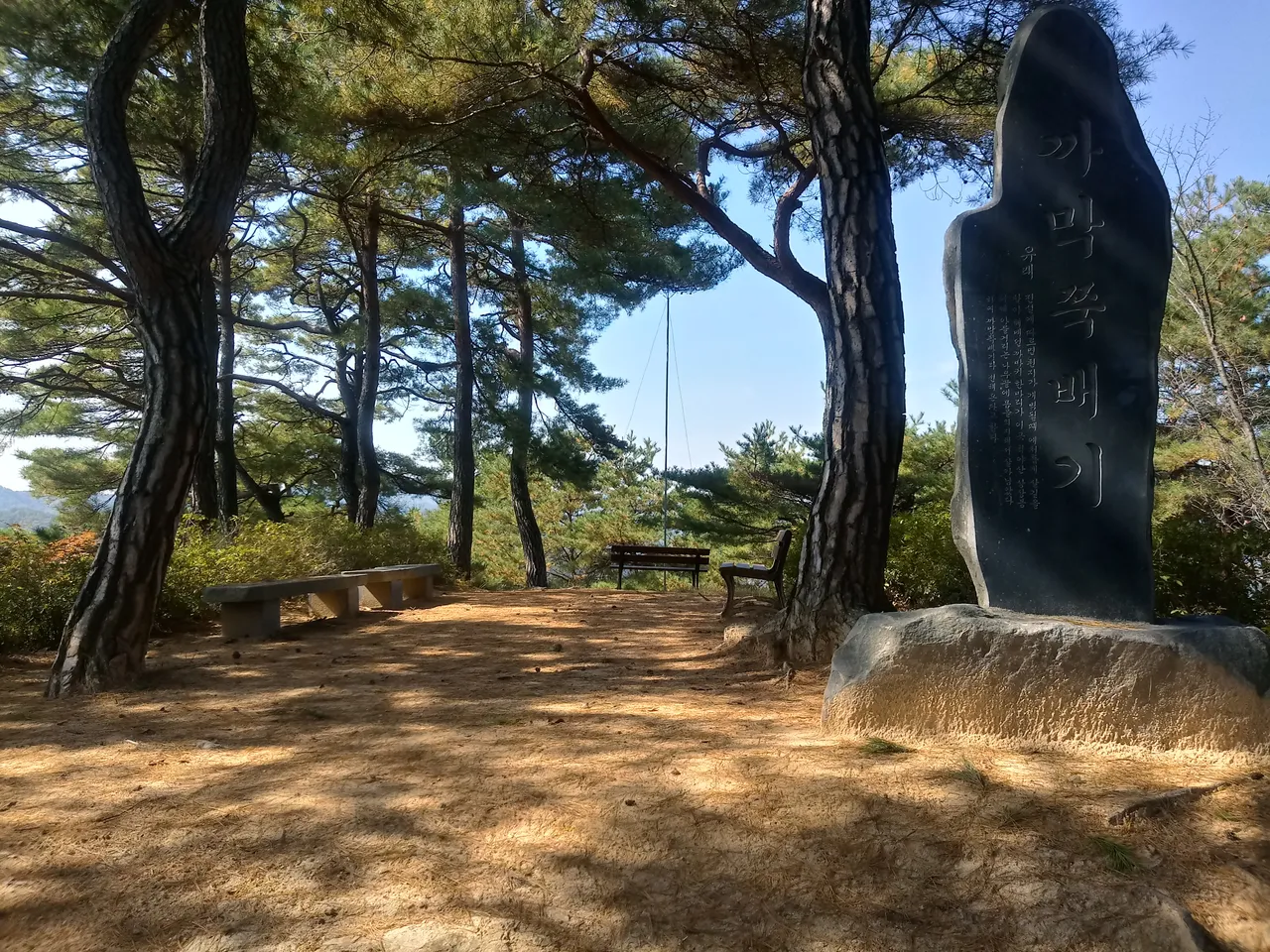 20181014_123038_HDR.jpg