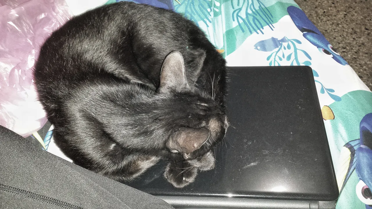 20190510_214130-01.jpeg