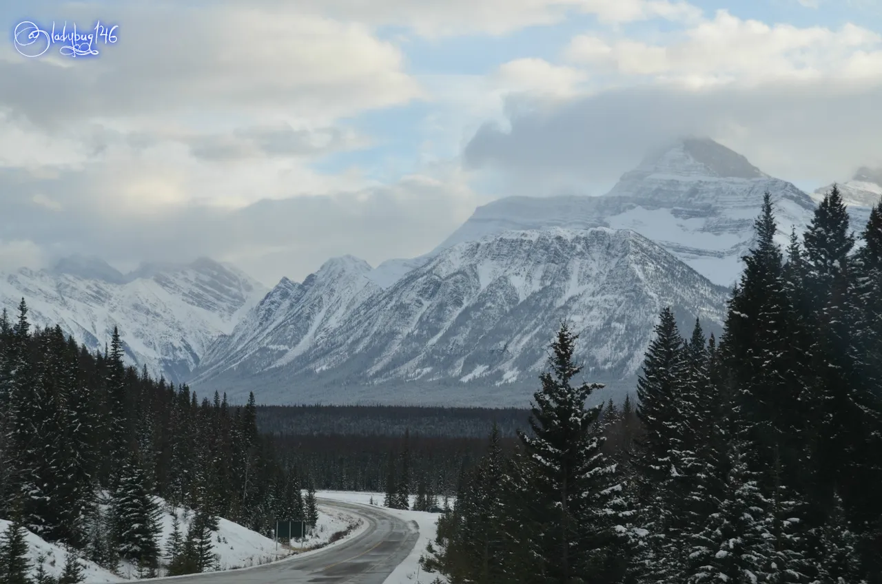 icefield parkway6.jpg