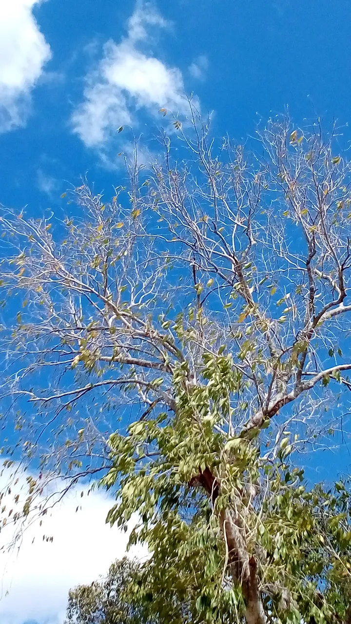 IMG_20190404_101349.jpg