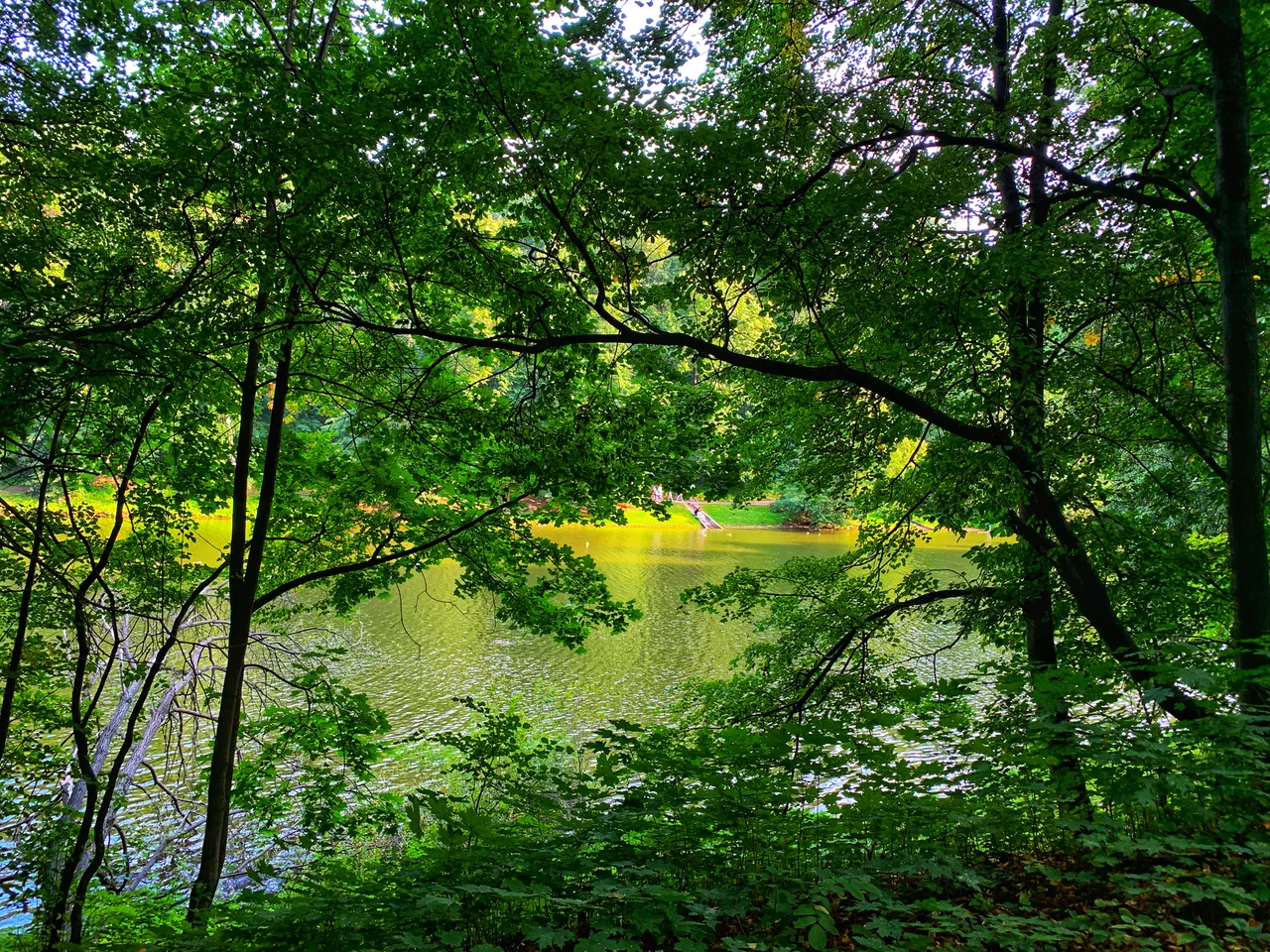 Tsaritsyno Water.jpeg